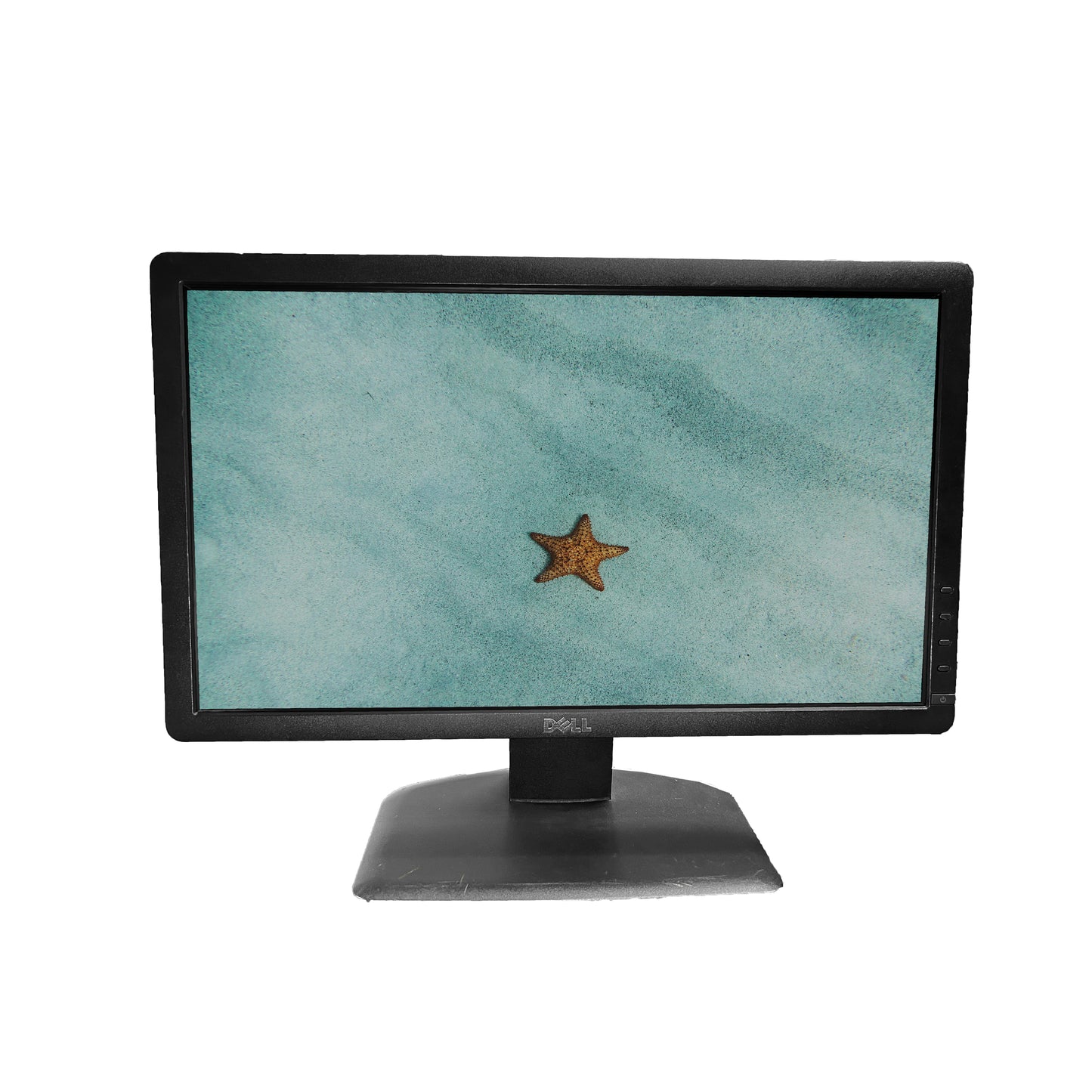 MONITOR DELL E1912HF - 18.5" - PANEL LCD - HD 1366x768