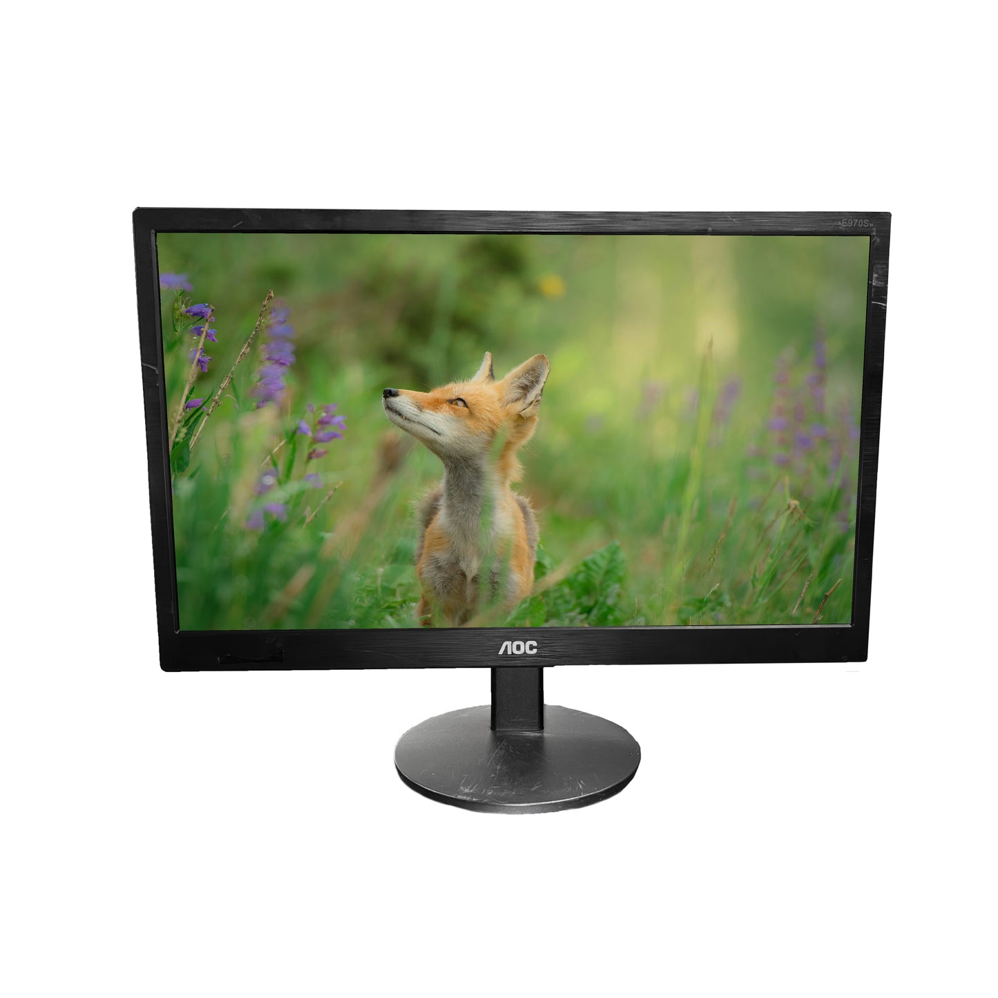 MONITOR AOC E970SWN - 18.5" - PANEL LCD - HD 1366x768